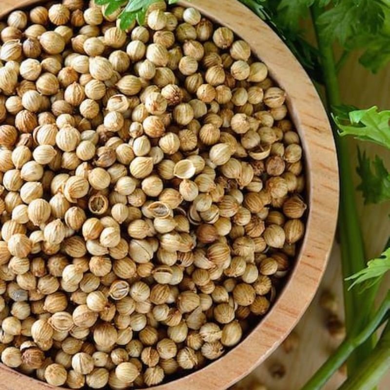 Coriander Seed